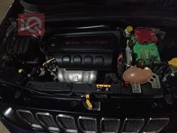 جيب رينيجيد